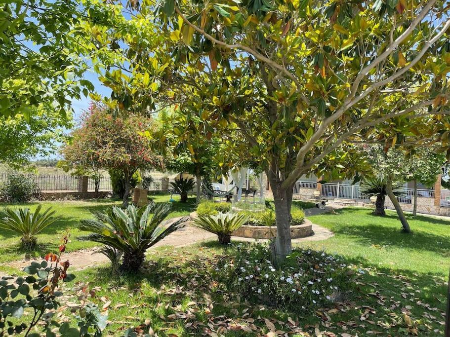 Mama'S Sunshine Garden Villa Agios Ilias  Екстериор снимка