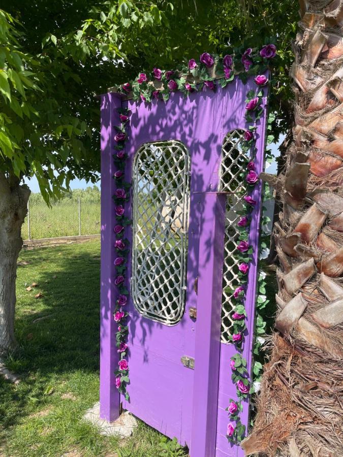 Mama'S Sunshine Garden Villa Agios Ilias  Екстериор снимка