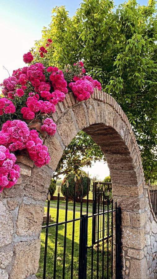Mama'S Sunshine Garden Villa Agios Ilias  Екстериор снимка