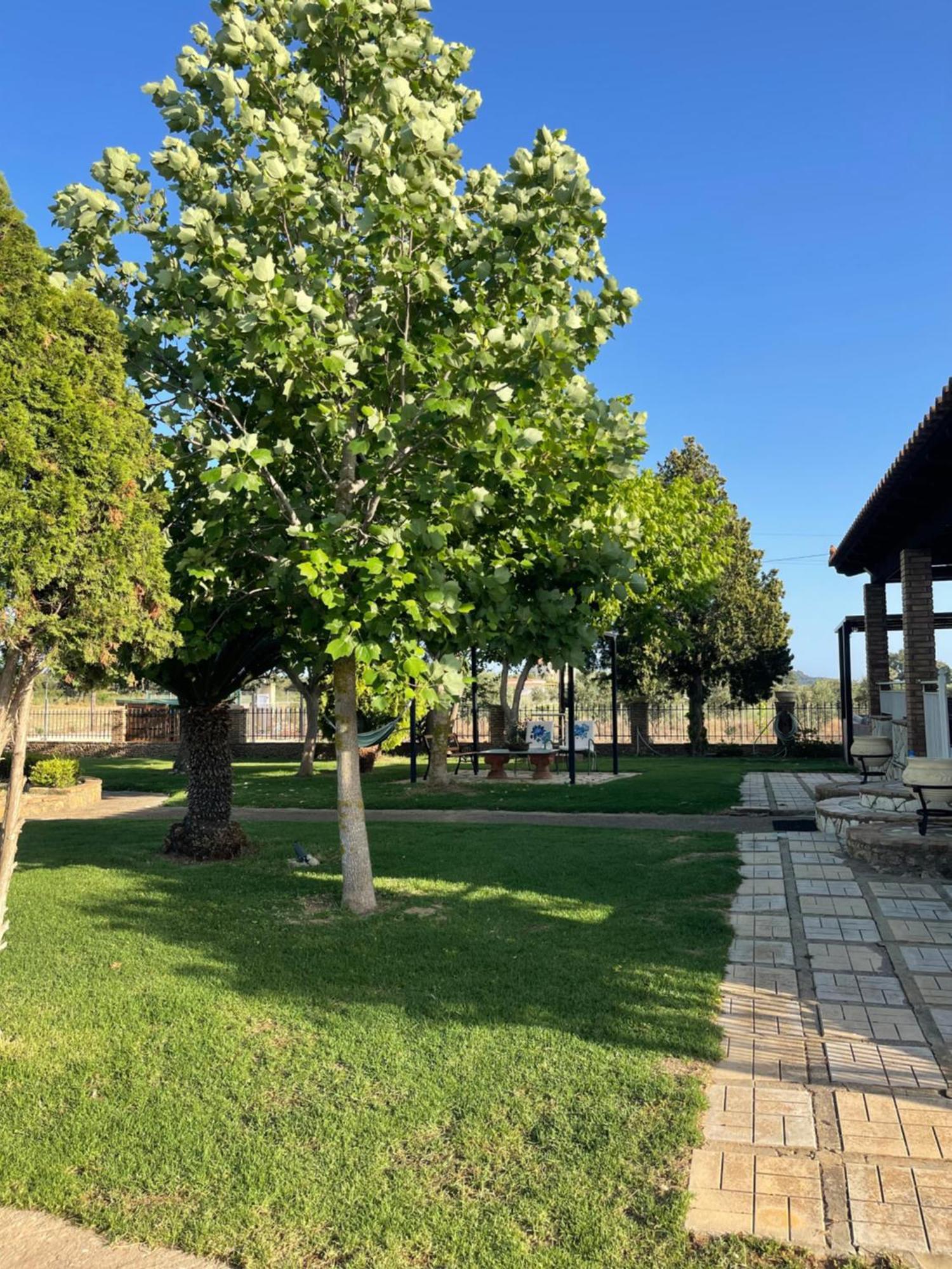 Mama'S Sunshine Garden Villa Agios Ilias  Екстериор снимка